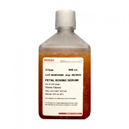 Fetal Bovine Serum 2-01